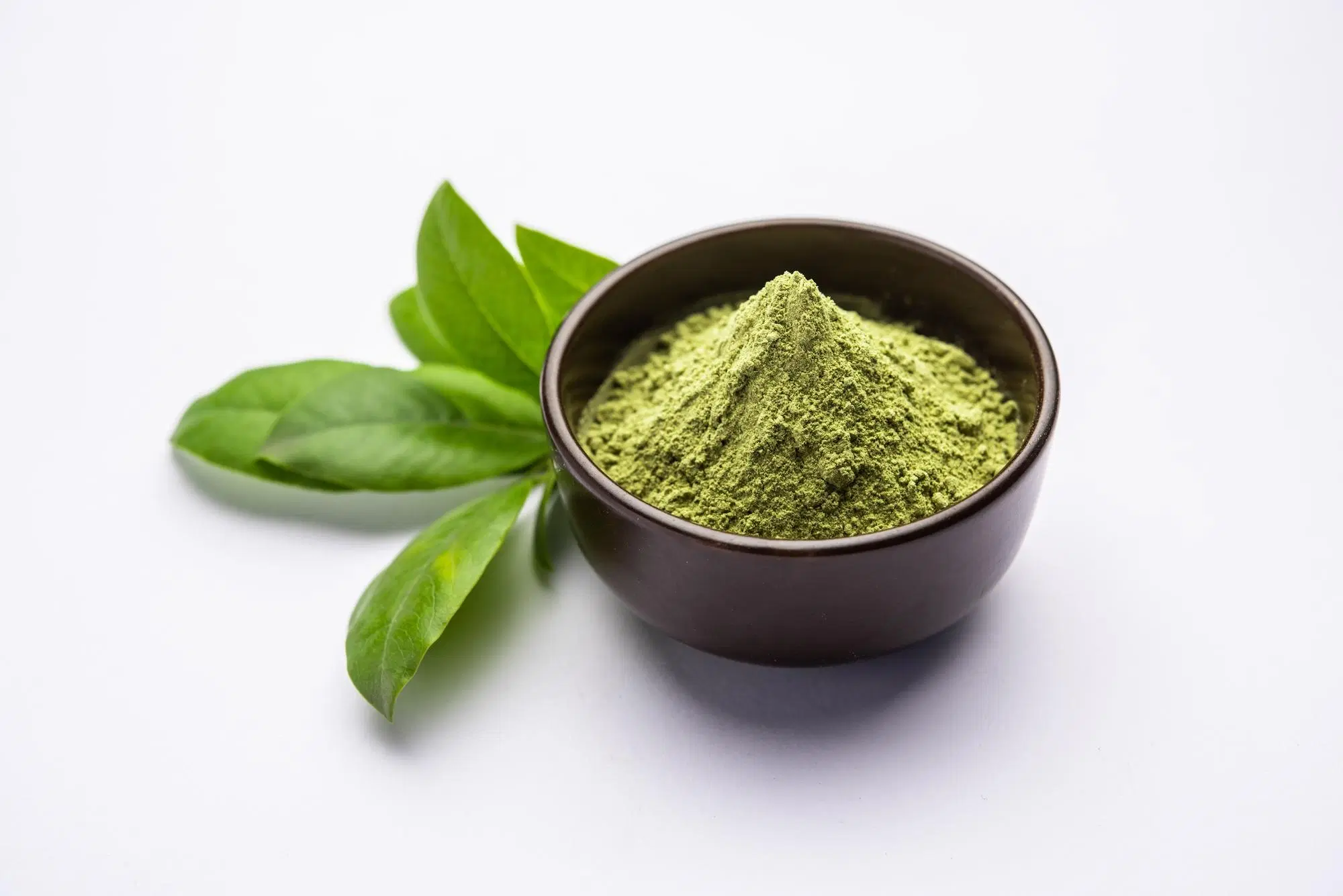 Green Tea Extract