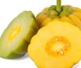 Garcinia Cambogia 50% HCA