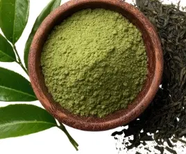 Green Tea Extract