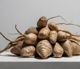 Glucomannan (Konjac Root)
